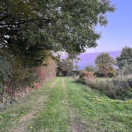 Wohnen Im Ehemaligen Kuhstall Stiehler Farm شقة Treia