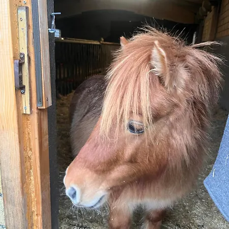 Wohnen Im Ehemaligen Kuhstall Stiehler Farm شقة