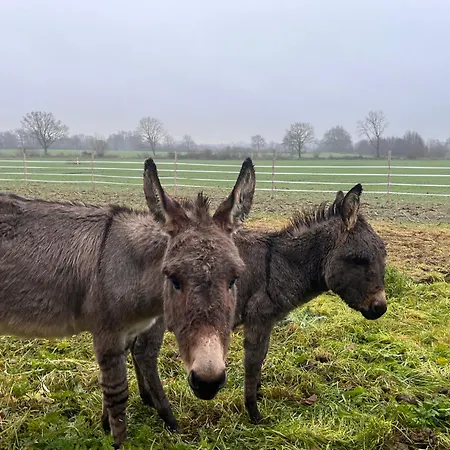 Lejlighed Wohnen Im Ehemaligen Kuhstall Stiehler Farm