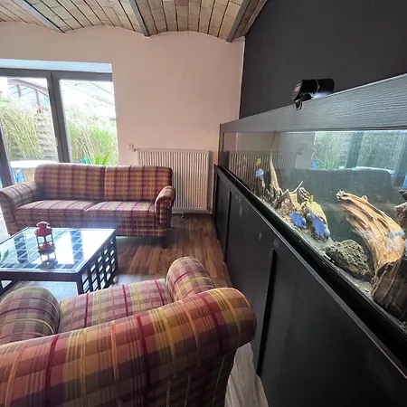 Wohnen Im Ehemaligen Kuhstall Stiehler Farm شقة *