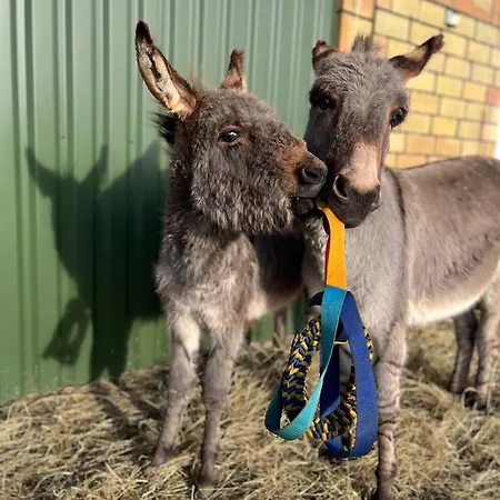 Wohnen Im Ehemaligen Kuhstall Stiehler Farm شقة