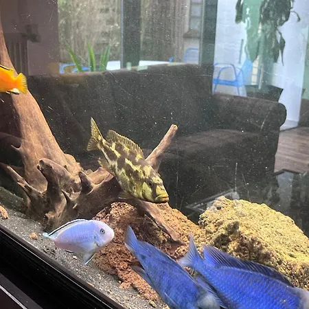 شقة Wohnen Im Ehemaligen Kuhstall Stiehler Farm Treia