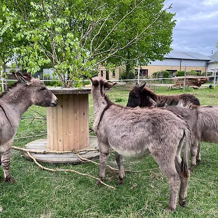 Wohnen Im Ehemaligen Kuhstall Stiehler Farm * Treia