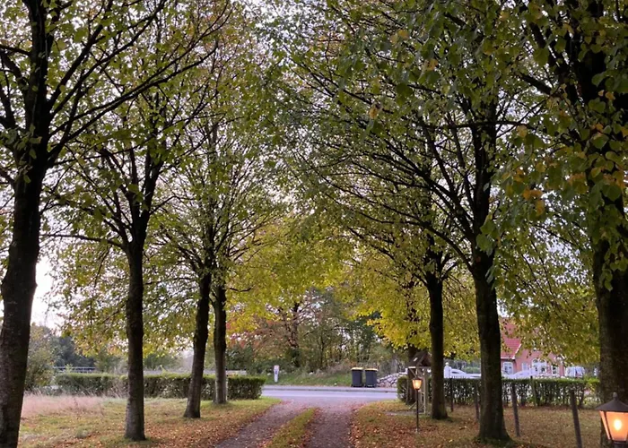 Wohnen Im Ehemaligen Kuhstall Stiehler Farm * Treia